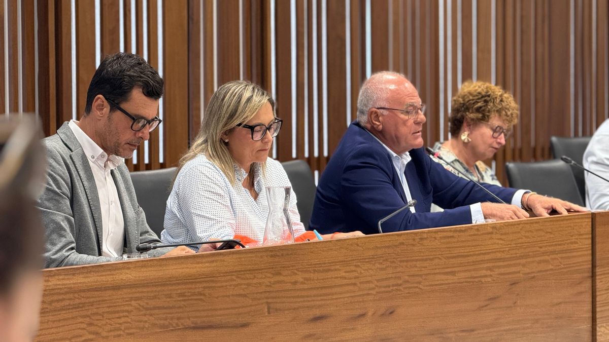 El PP solicita un acuerdo que refuerce la defensa del sector primario palmero en Europa