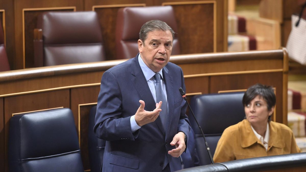 El Gobierno niega ayudas fijadas por ley al olivar y al viñedo alegando que tiene presupuestos prorrogados