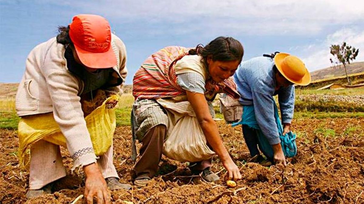 Mujeres rurales