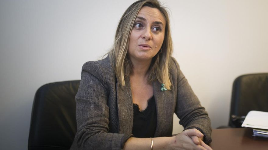 La Junta reclamará al próximo Gobierno un "debate serio y sereno" sobre la situación del mapa ferroviario andaluz