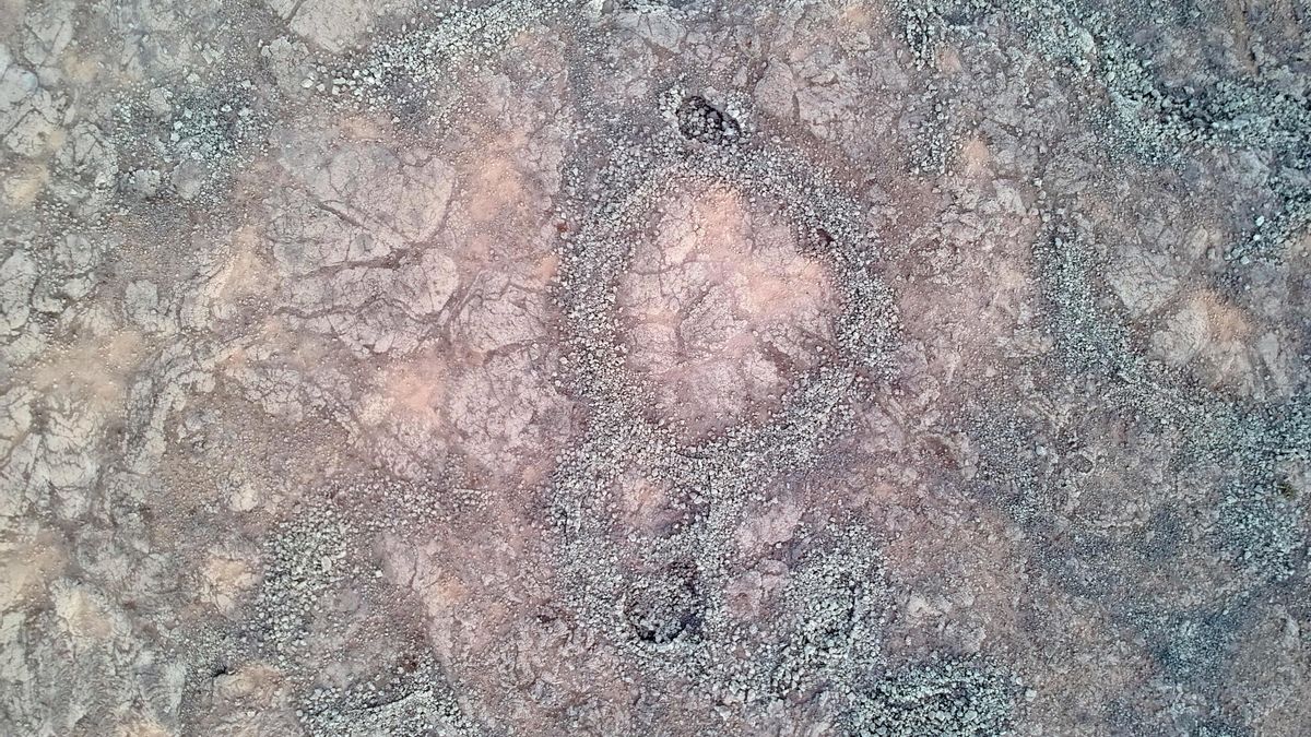 Detalle de una de las supuestas estructuras arqueoastronómicas de Tejate. Para Mata, se trata de cosecheros de orchilla.