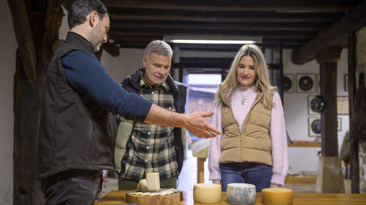 Cata de diferentes variedades de queso.
