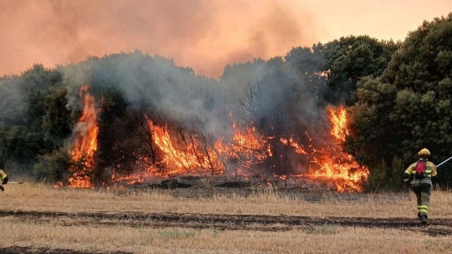 Un verano de máximo riesgo de incendios en Aragón con una superficie afectada casi 12 veces mayor