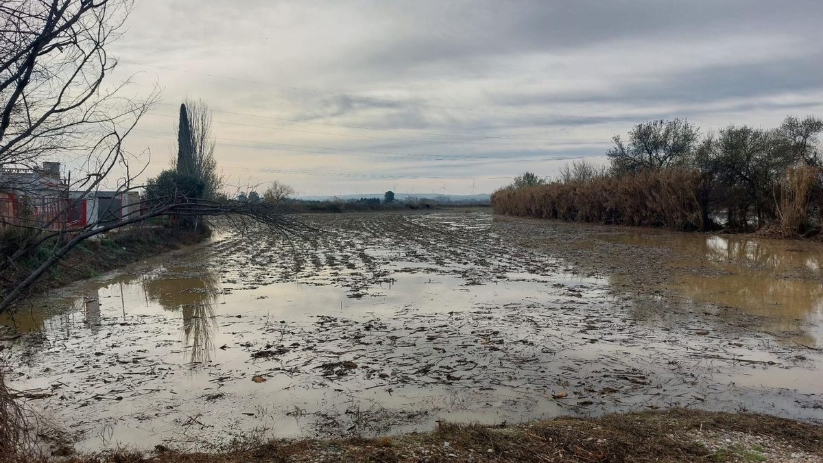 La crecida del Ebro, en imágenes