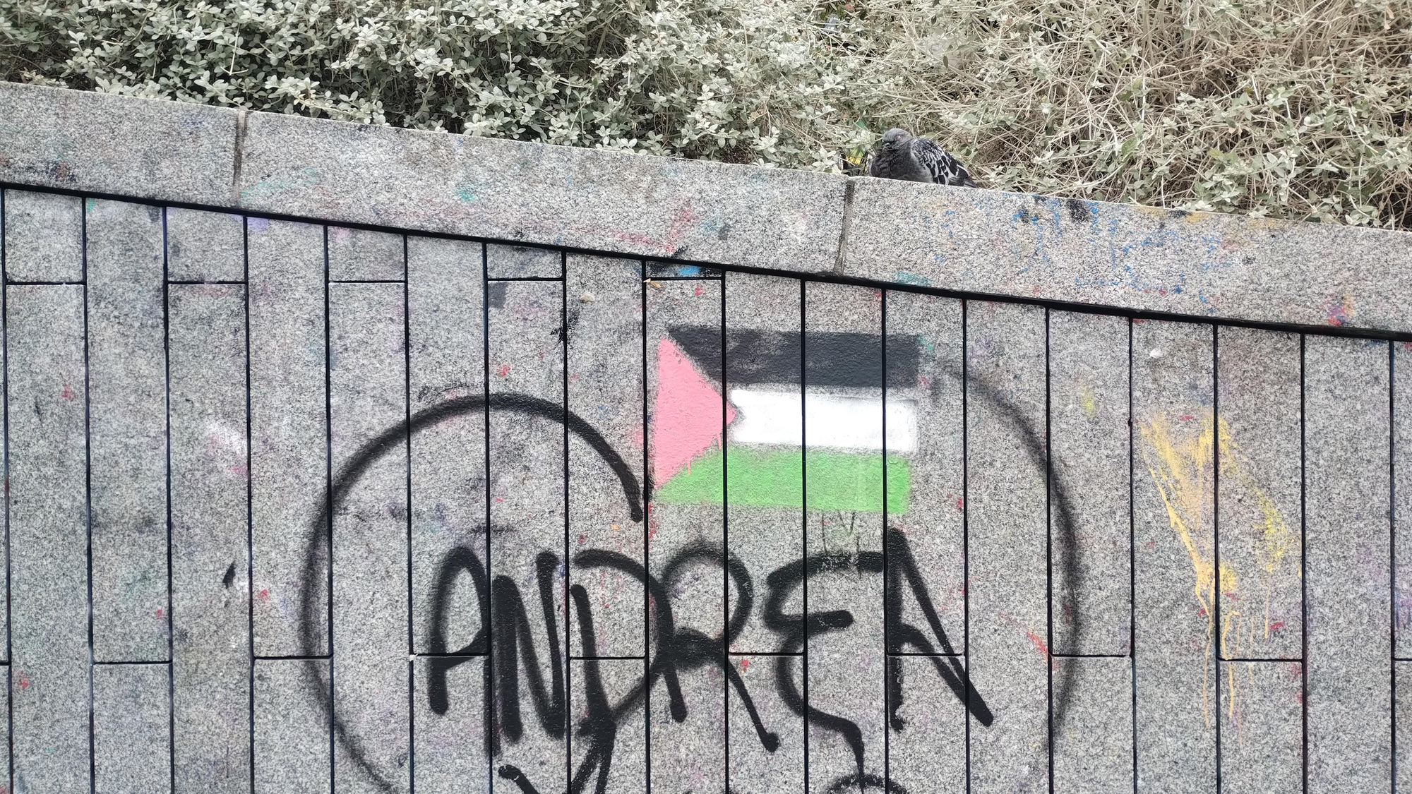 Una de las banderas colocada sobre un graffiti