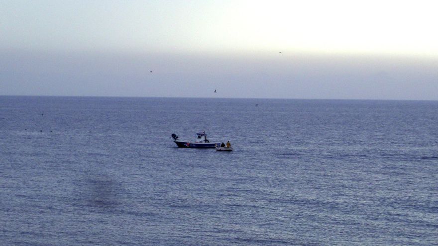 Ecologistas: contaminación del pescado UE por PFAS no permite retrasar controles a 2039