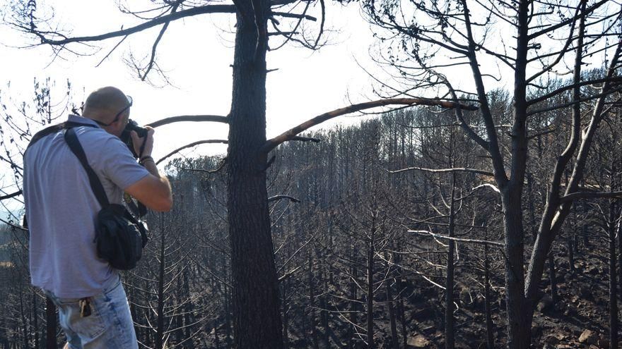 Sierra Bermeja: lecciones de un recorrido por tierra quemada