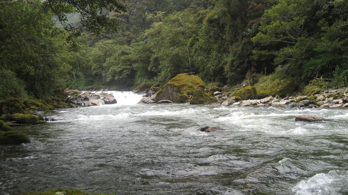 Parque Nacional Llanganates, en Ecuador. Foto: Ministerio de Ambiente, Agua y Transición Ecológica