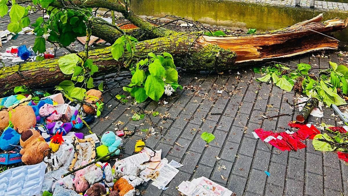 Un árbol cayó sobre su puesto de venta ambulante en Logroño: "Lo he perdido todo"