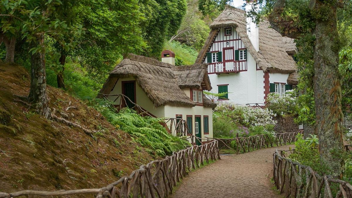 Casas con techo de paja en el bosque, en Madeira