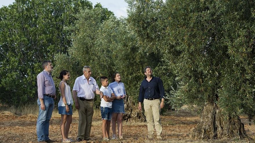 Aceites García de la Cruz de Toledo y el ecológico O’Oleum de Albacete, Premio Alimentos de España