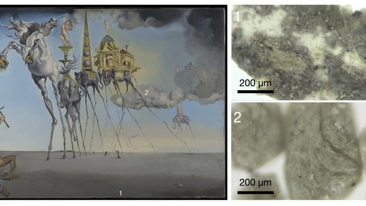 Las imágenes tomadas antes de la entrada en el museo muestran irregularidades y transparencia