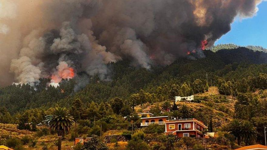 Canarias activa el céntimo forestal para crear un fondo específico de lucha contra el cambio climático