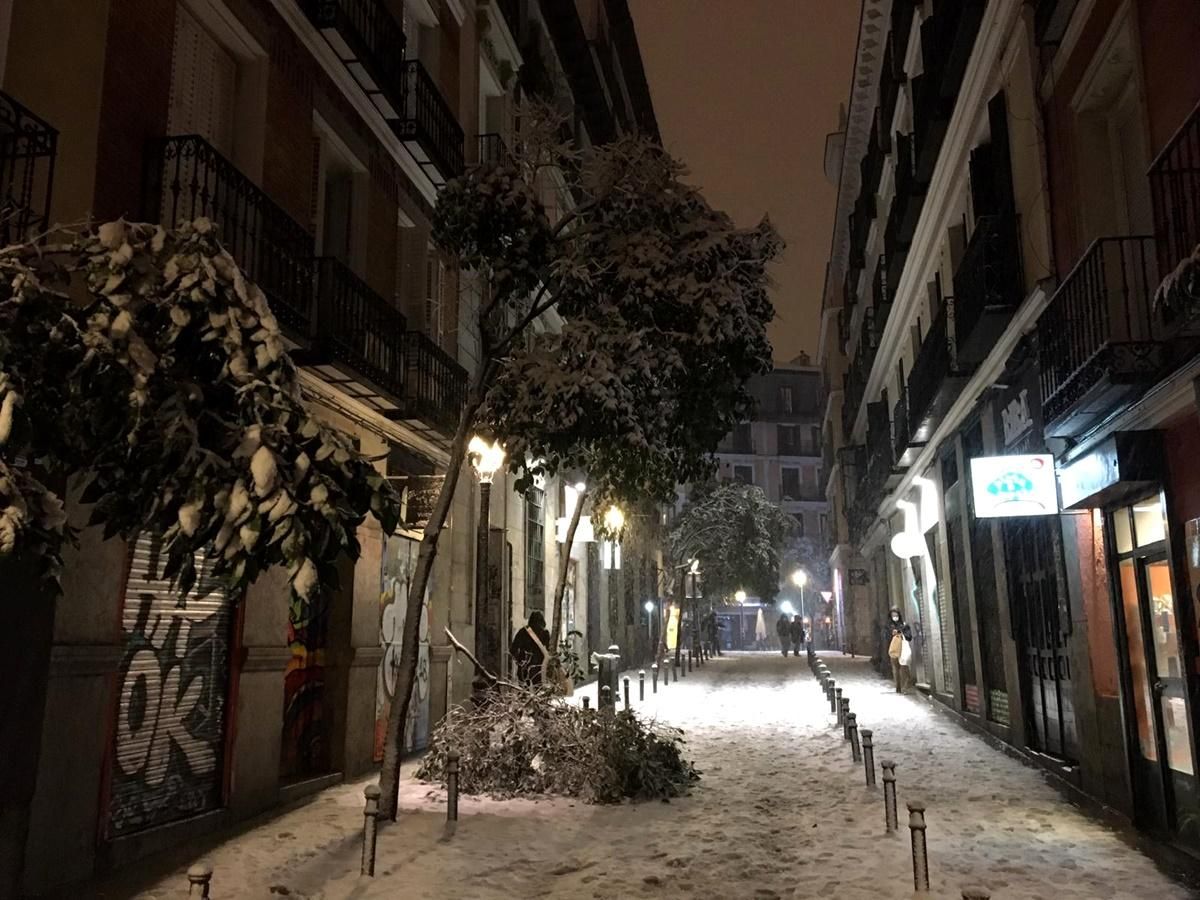 Ramas y árboles caídos en Malasaña a causa de la nieve