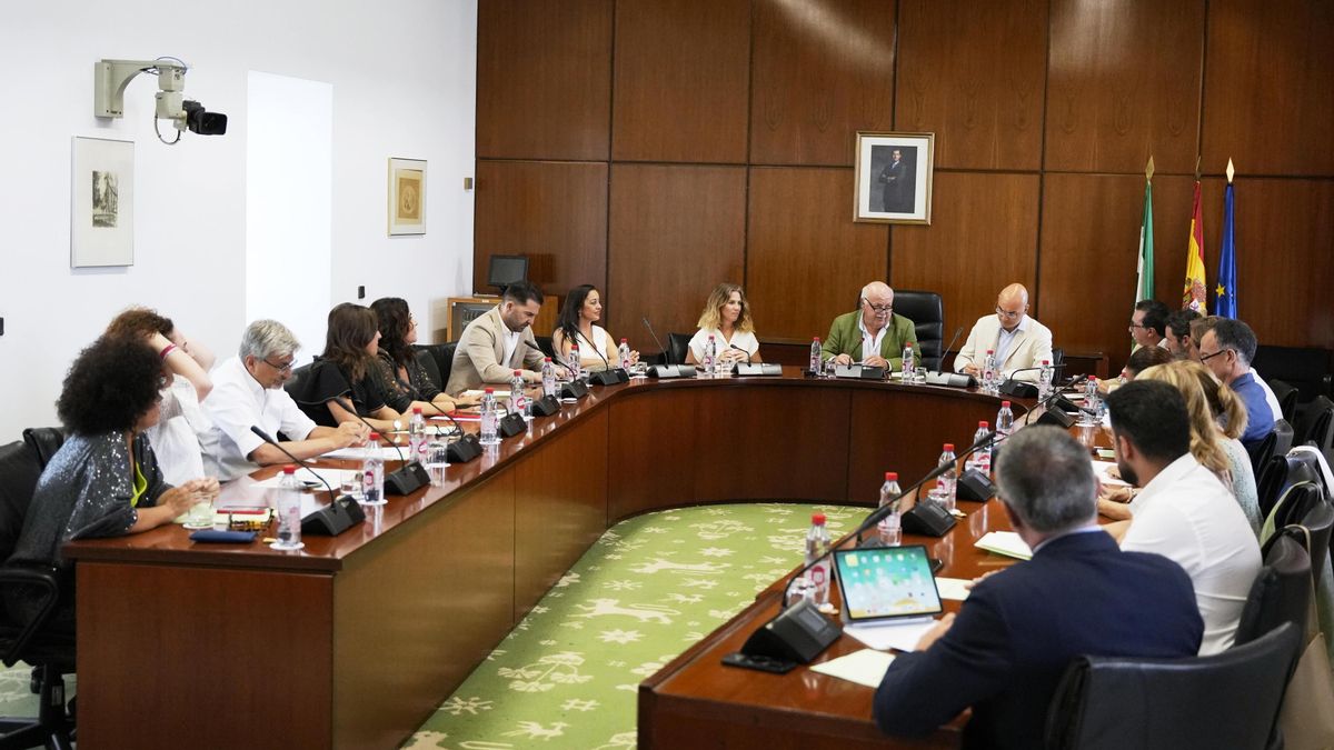 Imagen de este lunes de la reunión de la Diputación Permanente del Parlamento de Andalucía.