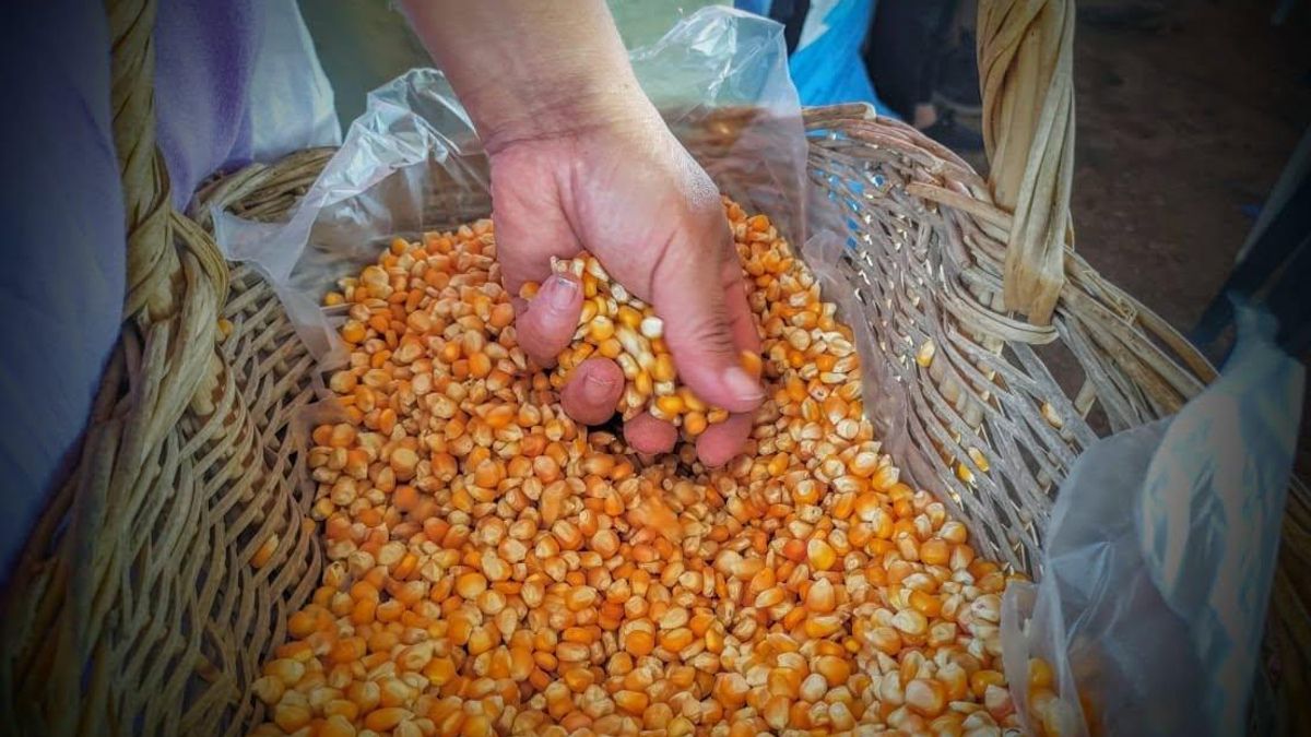 Comunidades indígenas de Argentina enfrentan impactos a sus cultivos y sistemas alimentarios por inundaciones asociadas a El Niño. Foto: cortesía Mocase