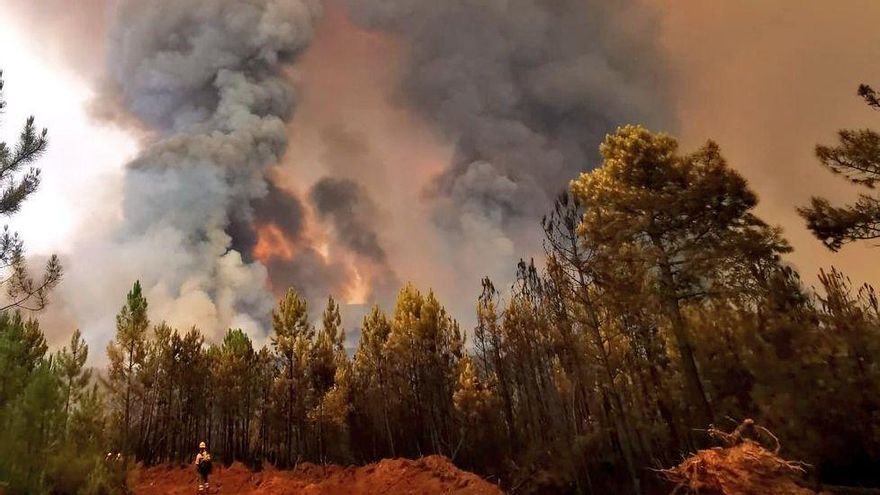 Extremadura declarará de urgente actuación las zonas afectadas por los incendios