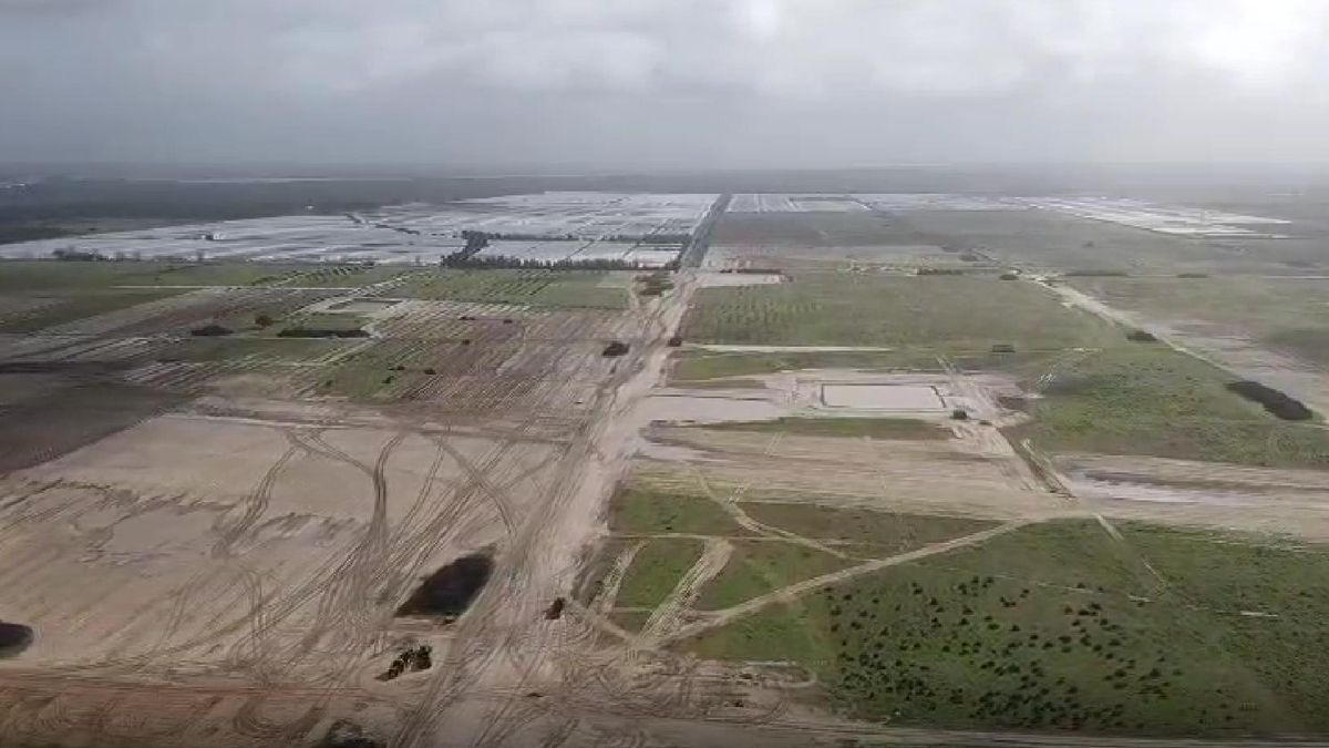 Los trabajos en la finca, rodeada de invernaderos, arrancaron en agosto.