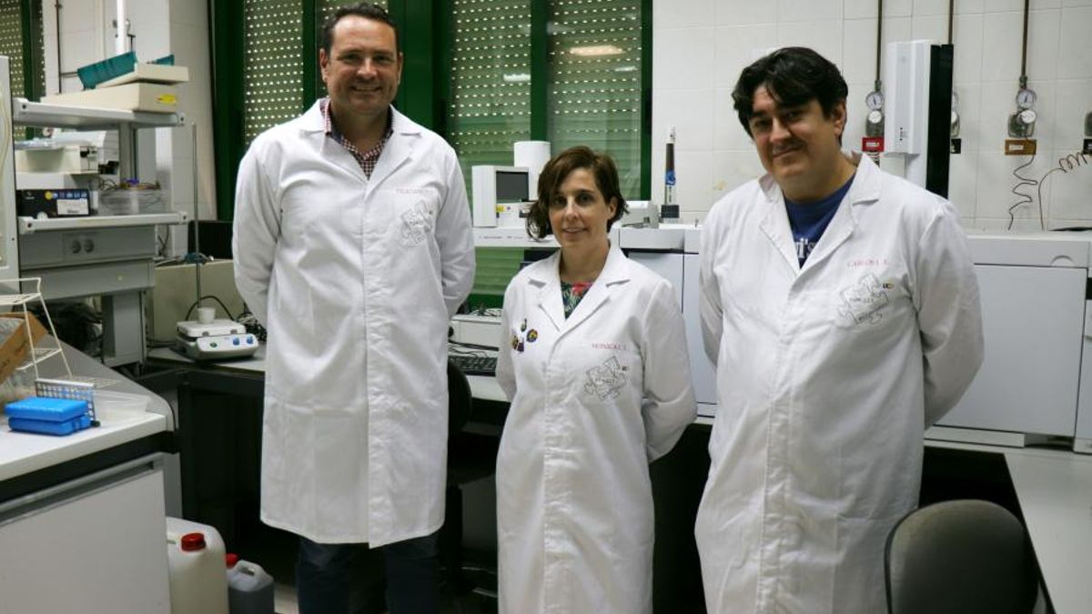 Feliciano Priego, Mónica Calderón y Carlos Ledesma, autores del trabajo.