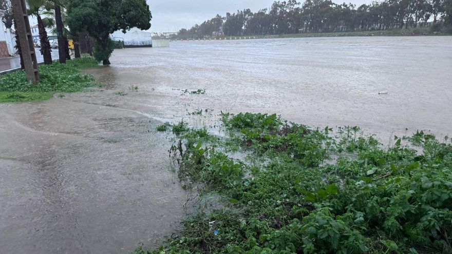 Crecida del río a su paso por San Roque, en la provincia de Cádiz.