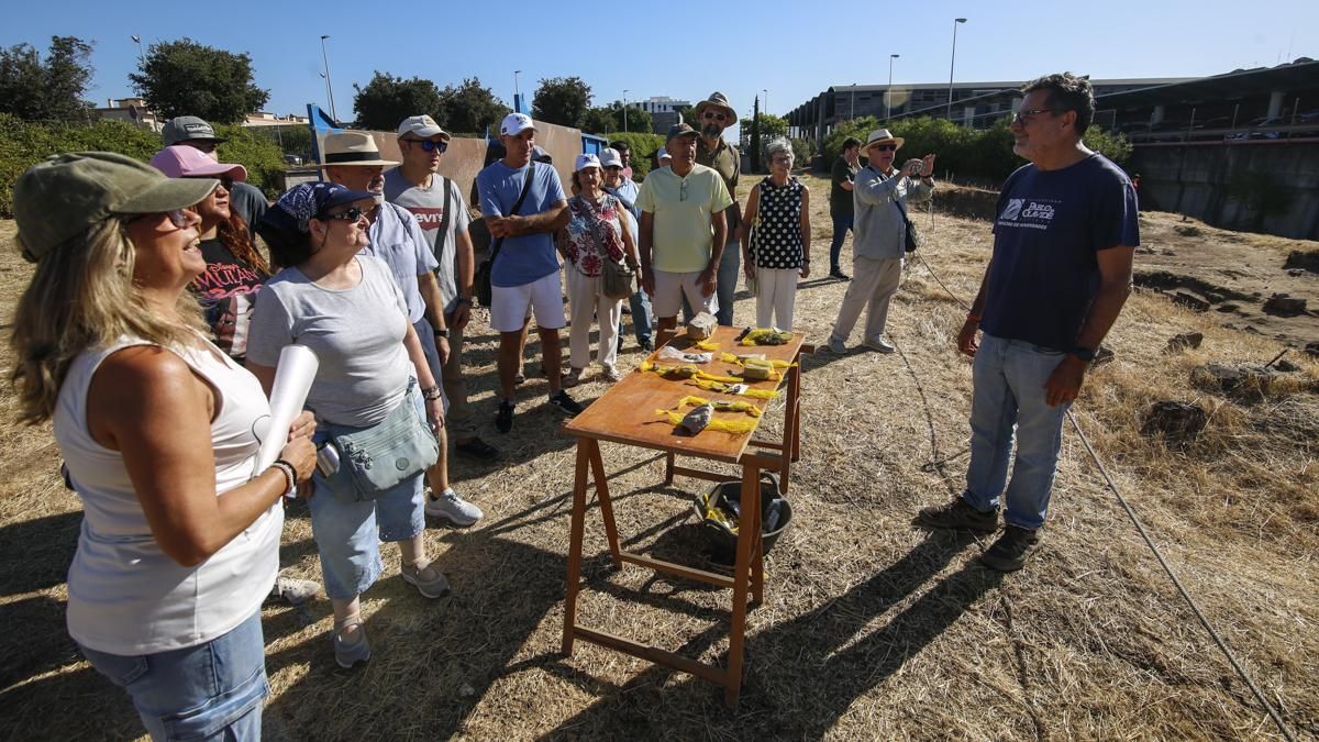 Visitas al yacimiento de Cercadillas