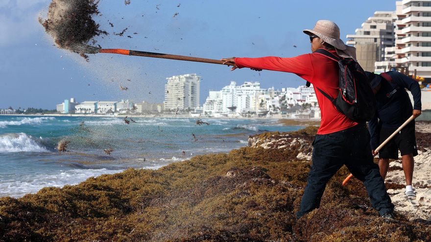 Cuba lanza alerta por arribo de sargazo a la costa de la zona oriental de Guantánamo