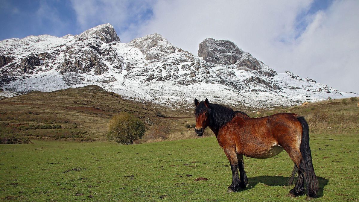 Estampas de las cumbres nevadas en la provincia de León