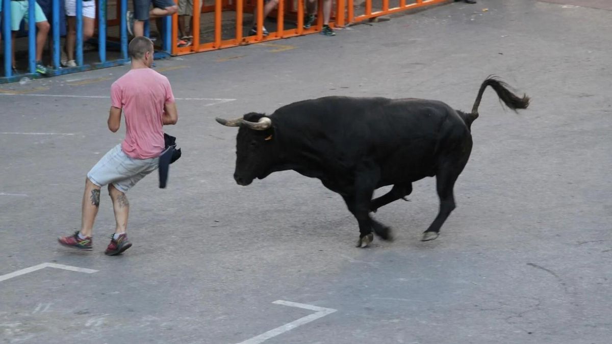 La Guardia Civil investiga por maltrato animal a dos hombres por disparar a un toro en Gátova durante los 'bous al carrer'
