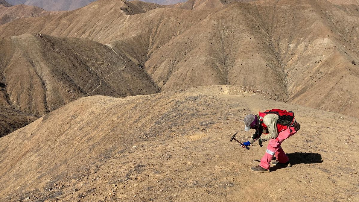 Mineras extranjeras expanden sus negocios para explorar oro y plata en Argentina