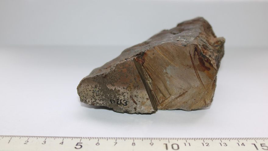 “¡Esto no es un meteorito!” El Museo Nacional de Ciencias Naturales sale de su error 150 años después