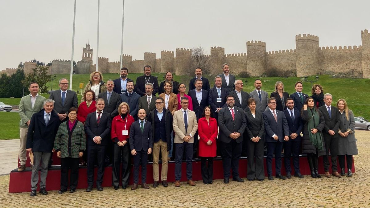 Les jornades es van celebrar els dies 3 i 4 de desembre a Ávila.
