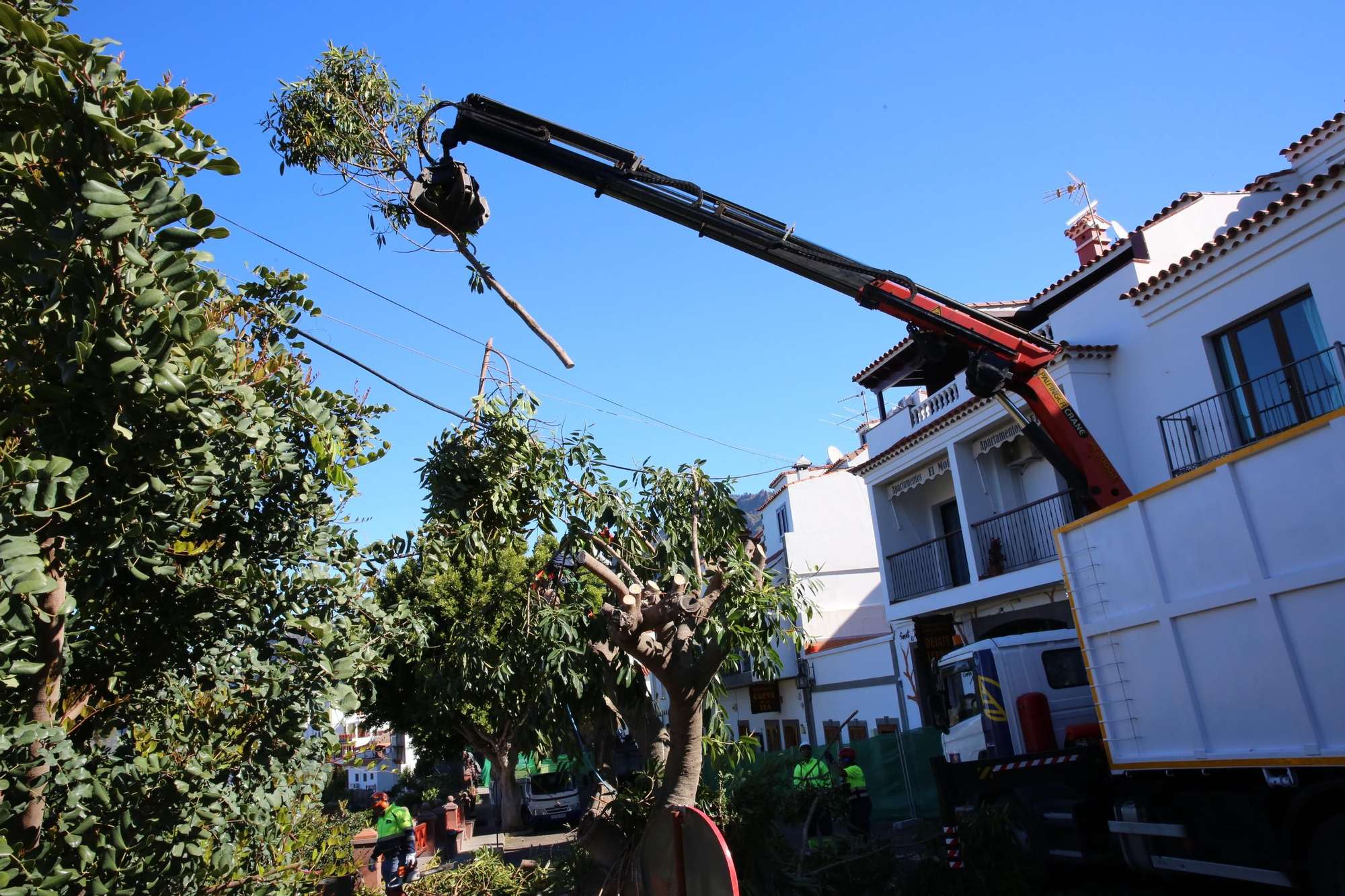 Maquinaria empleada para la retirada de árboles. (Alejandro Ramos).