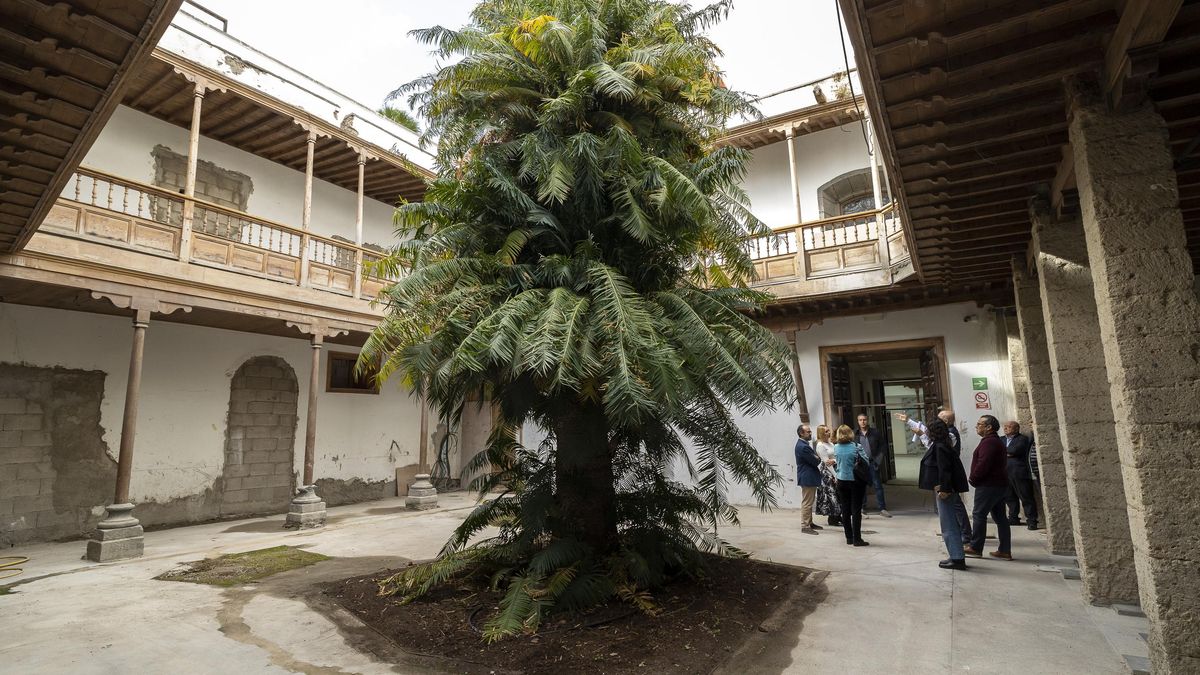 Con el actual Gobierno canario, el Condado de la Vega Grande no habría pagado ni un euro (ni un cuadro) por la herencia del noveno conde