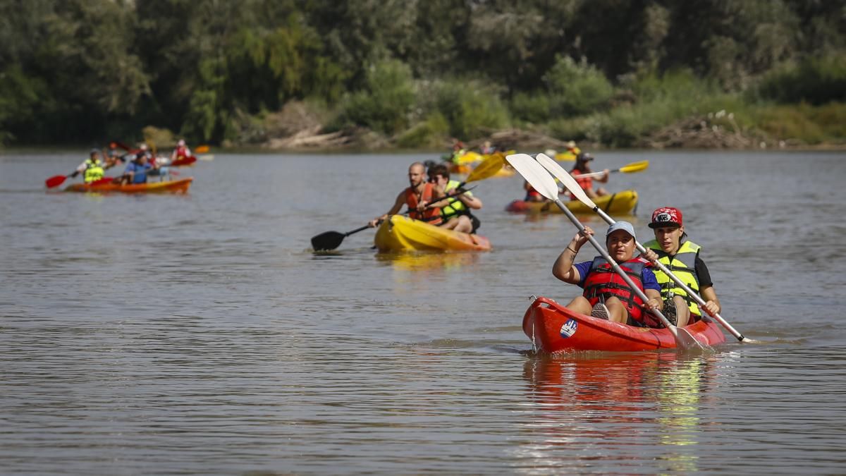 Ruta del Caimán 2026