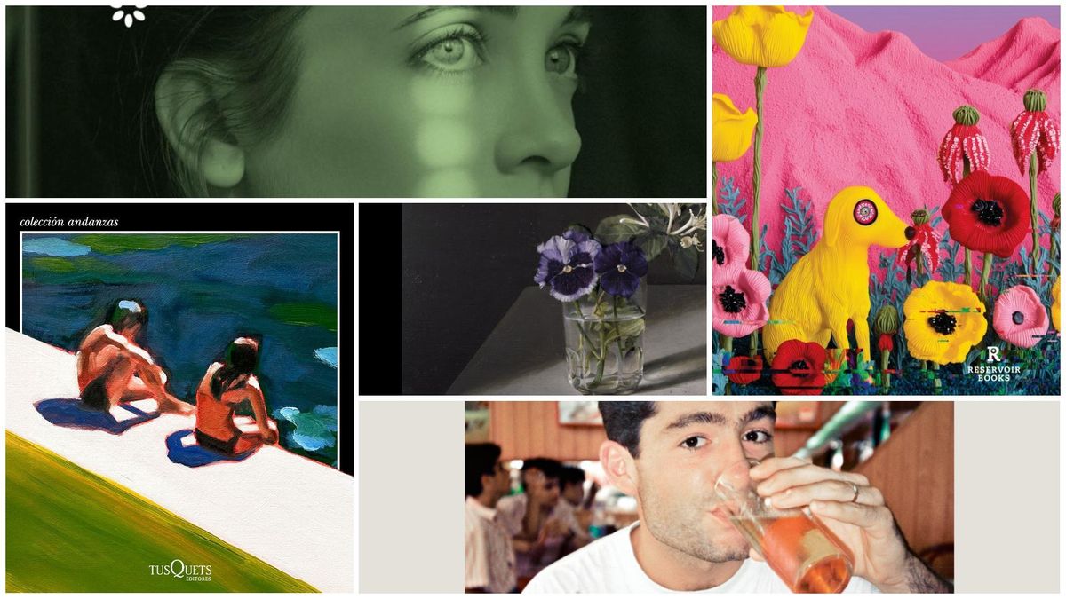 Libros revelación Sant Jordi