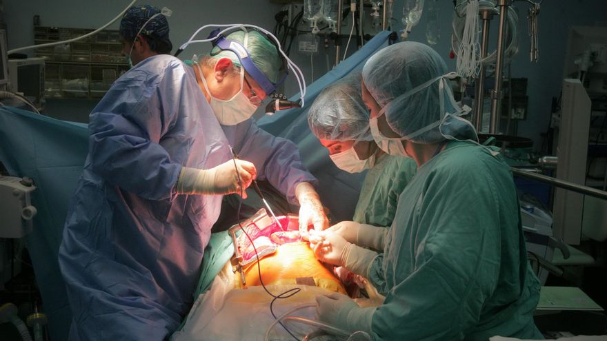 El Reina Sofía aumenta un 18% los trasplantes de órganos hasta junio