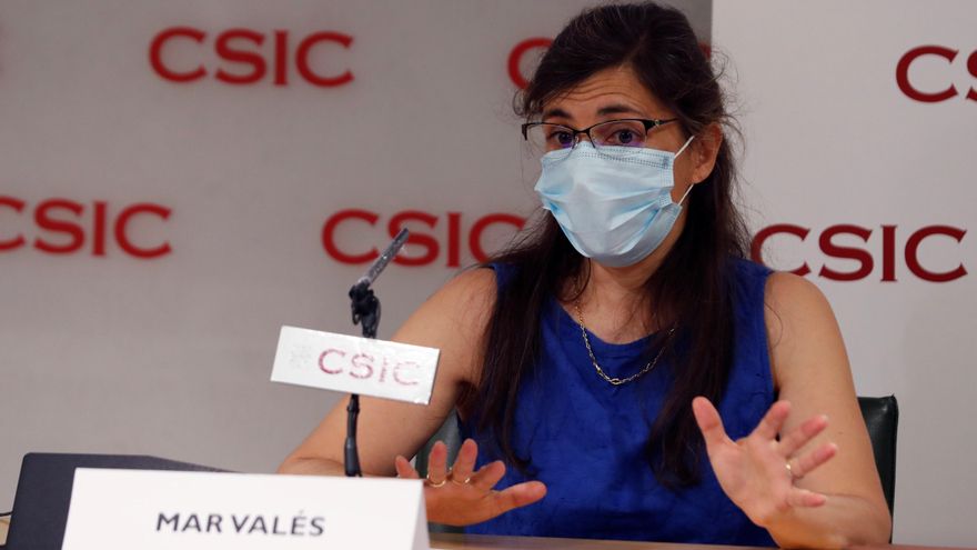 CSIC logra un test con un 98% de fiabilidad que estará disponible en un mes