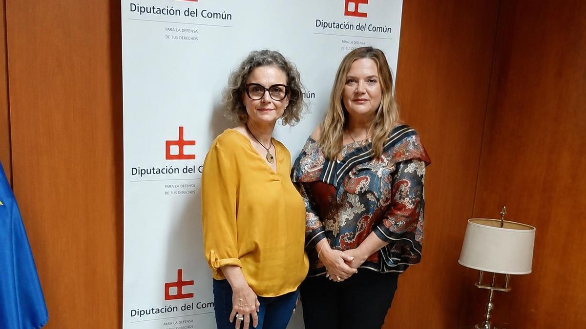 Violencia vicaria: la Diputación del Común analiza medidas para mejorar la protección de madres e hijos