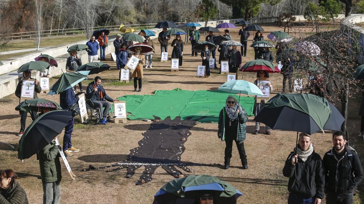 AAVV Axerquía y Regina-Magdalena realizan la actividad 'Aquí falta un árbol' en el Parque de Miraflores