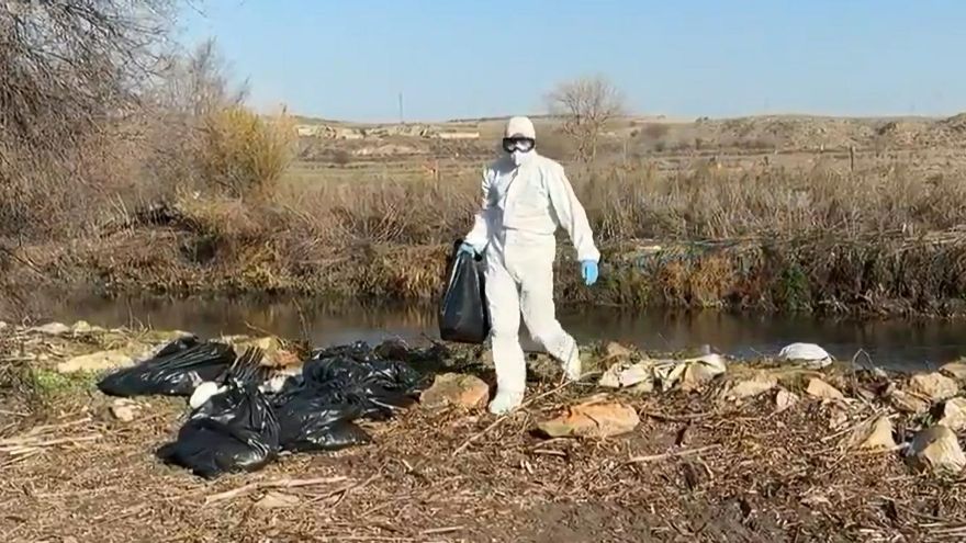 Alerta sanitaria y protección para retirar cigüeñas muertas por la gripe aviar en Madrid: "Ya no es un caso aislado"