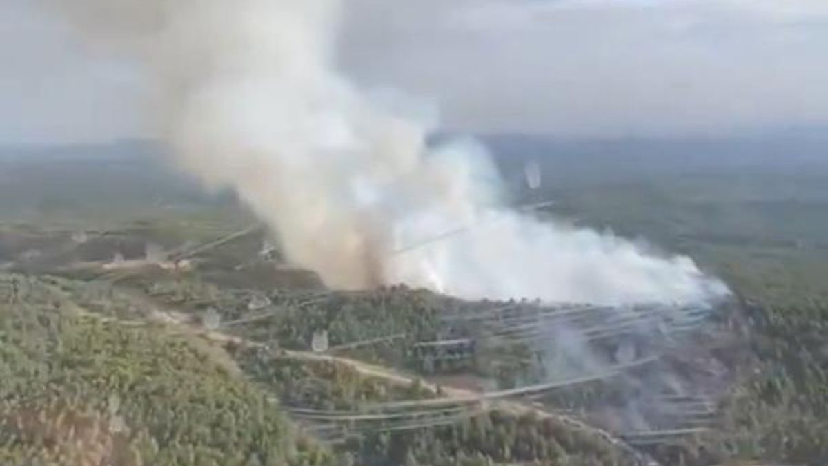 Declarado un incendio forestal entre La Cañada de Verich y La Cerollera, en Teruel: medios aéreos tratan de sofocarlo