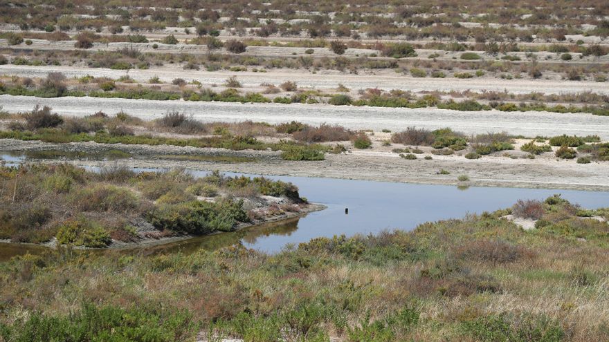 Un estudio confirma el importante papel de las salinas de Cádiz como sumideros de carbono