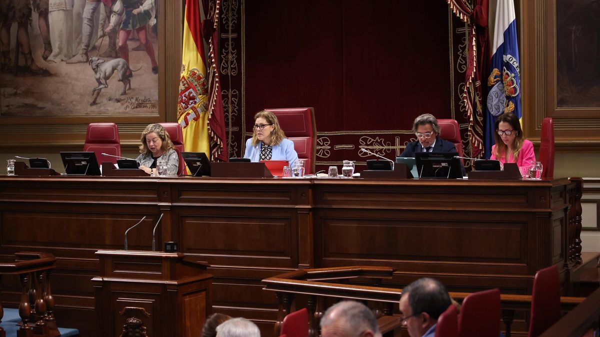 DIRECTO | Sigue el pleno del Parlamento de Canarias