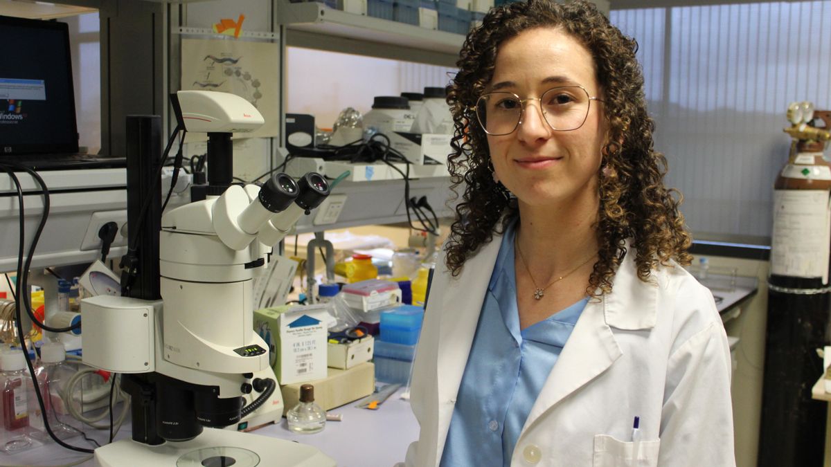 Identifican en el CIBIR de Logroño una proteína clave para avanzar en el diagnóstico del cáncer de colon