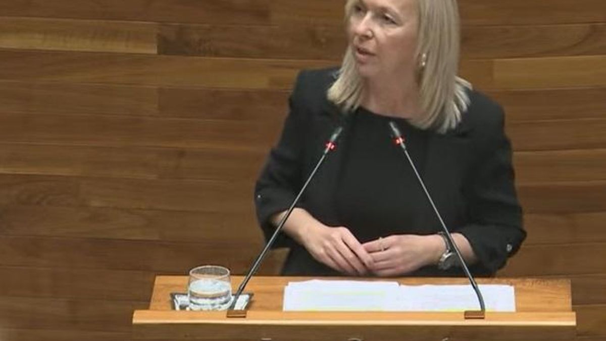 La diputada de Vox en la Junta General, Sara Álvarez Rouco