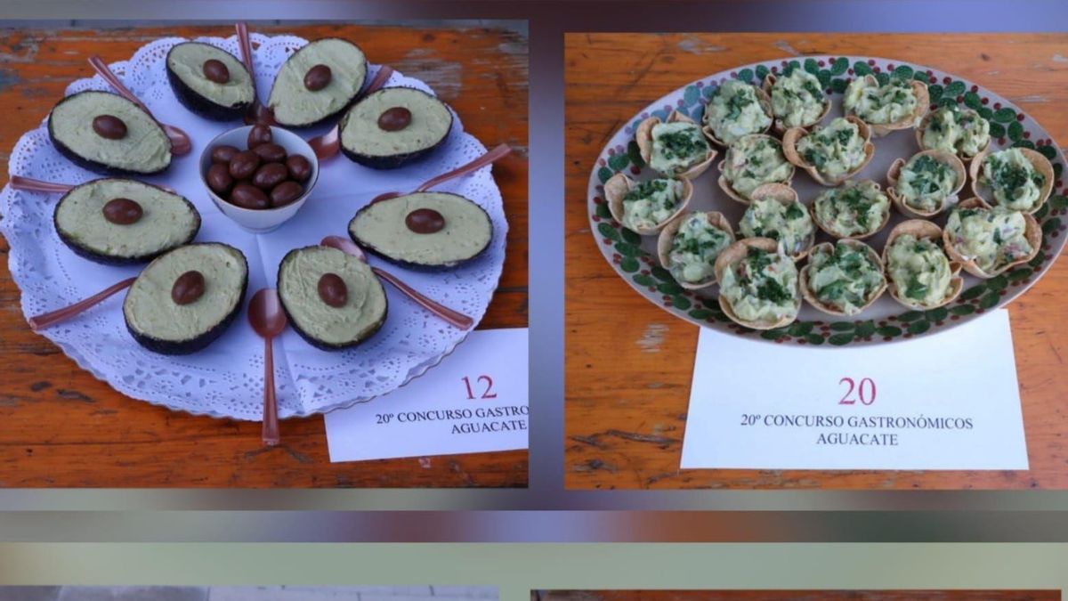 Innovación en las recetas con aguacate en La Laguna
