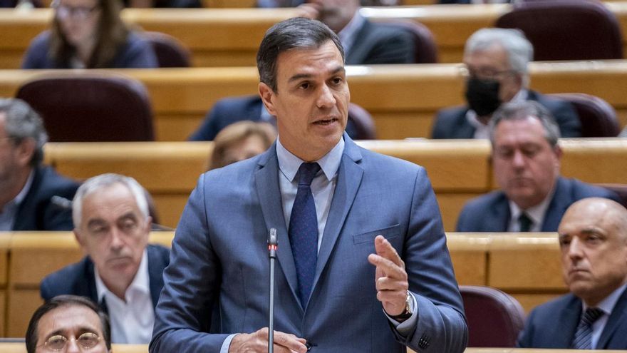 El presidente del Gobierno, Pedro Sánchez, interviene en una sesión de control al Gobierno en el Senado, a 26 de abril de 2022, en Madrid (España).
