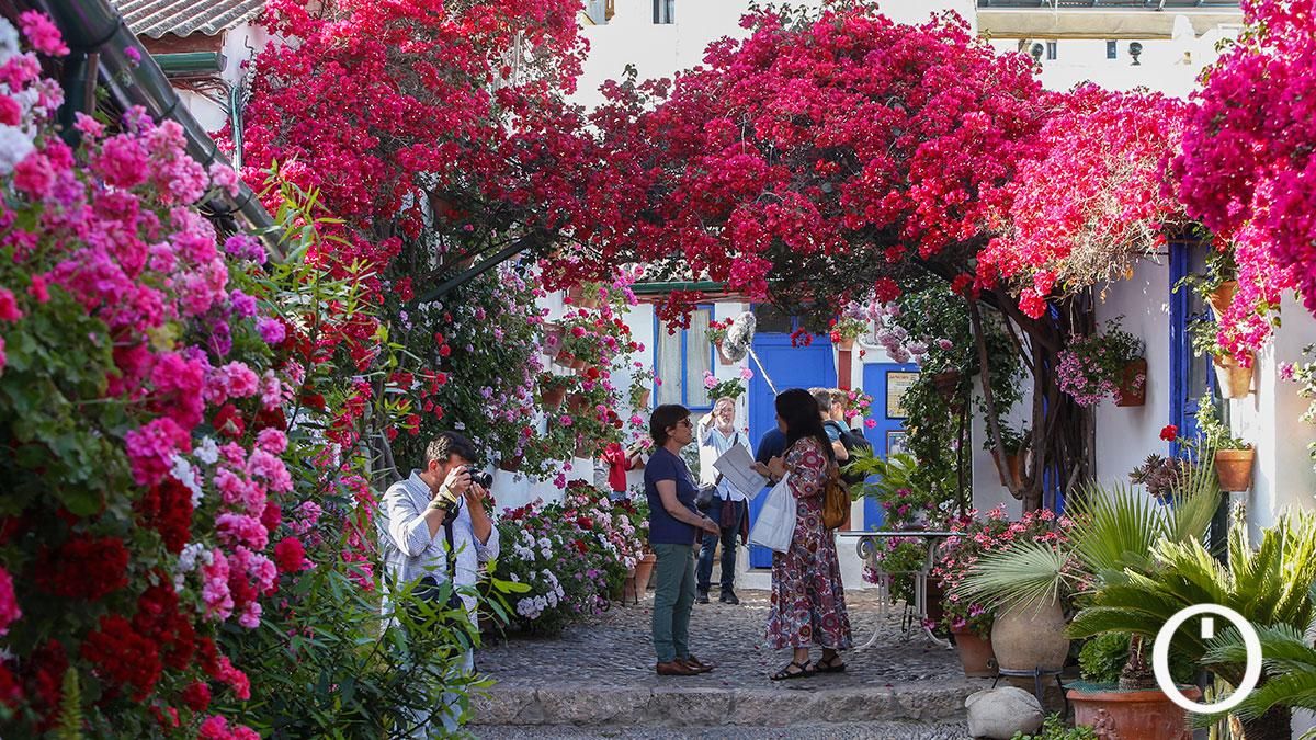 Patio Marroquies,6 - 2022