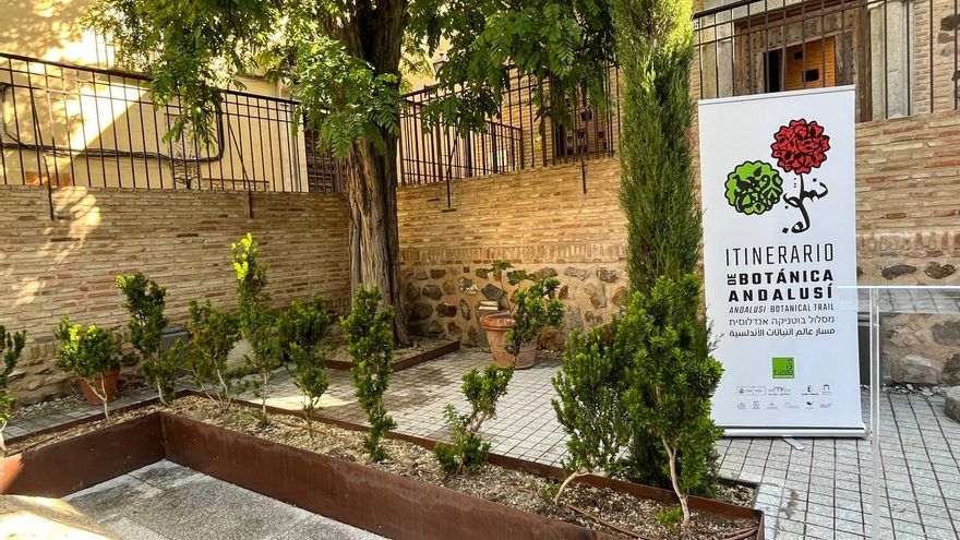Así eran los jardines andalusíes de Toledo: el Museo Sefardí los presenta en una exposición botánica