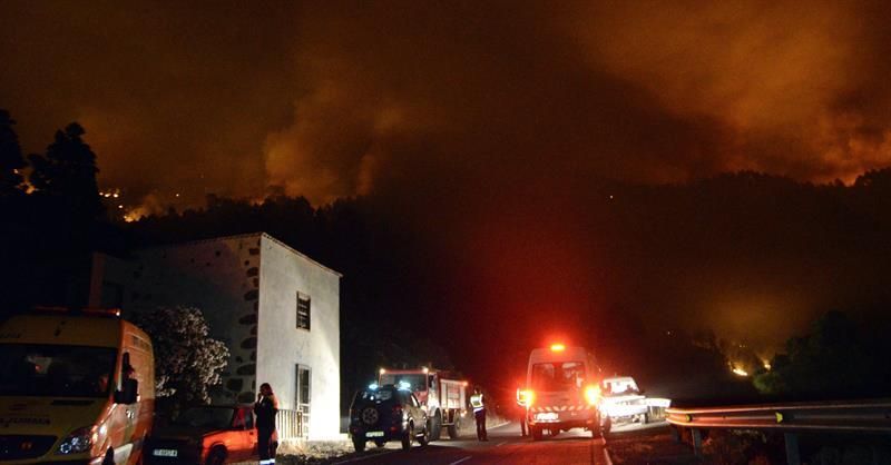 Incendio forestal en la isla de La Palma. (EFE)